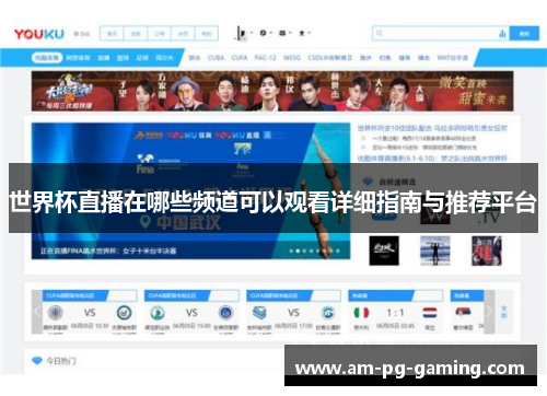 世界杯直播在哪些频道可以观看详细指南与推荐平台 世界杯直播在哪些频道可以观看详细指南与推荐平台