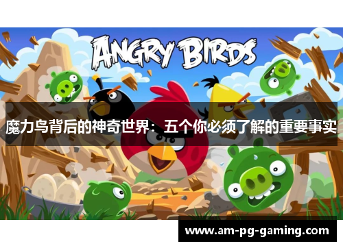 魔力鸟背后的神奇世界：五个你必须了解的重要事实