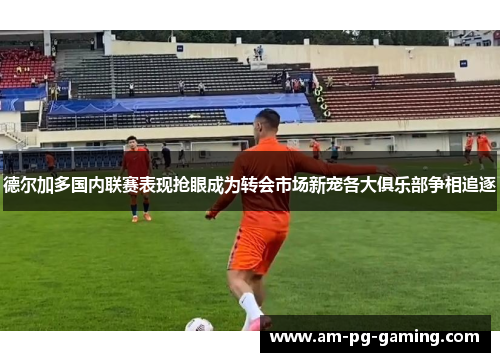 德尔加多国内联赛表现抢眼成为转会市场新宠各大俱乐部争相追逐